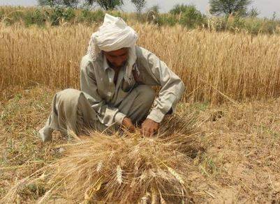 حکومت بلوچستان کا کسانوں کے لیے 