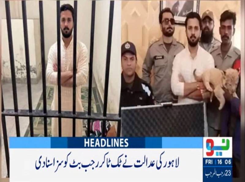 رجب بٹ کو شیر کے بچے کو غیر قانونی طور پر رکھنے پر کمیونٹی سروس کی سزا