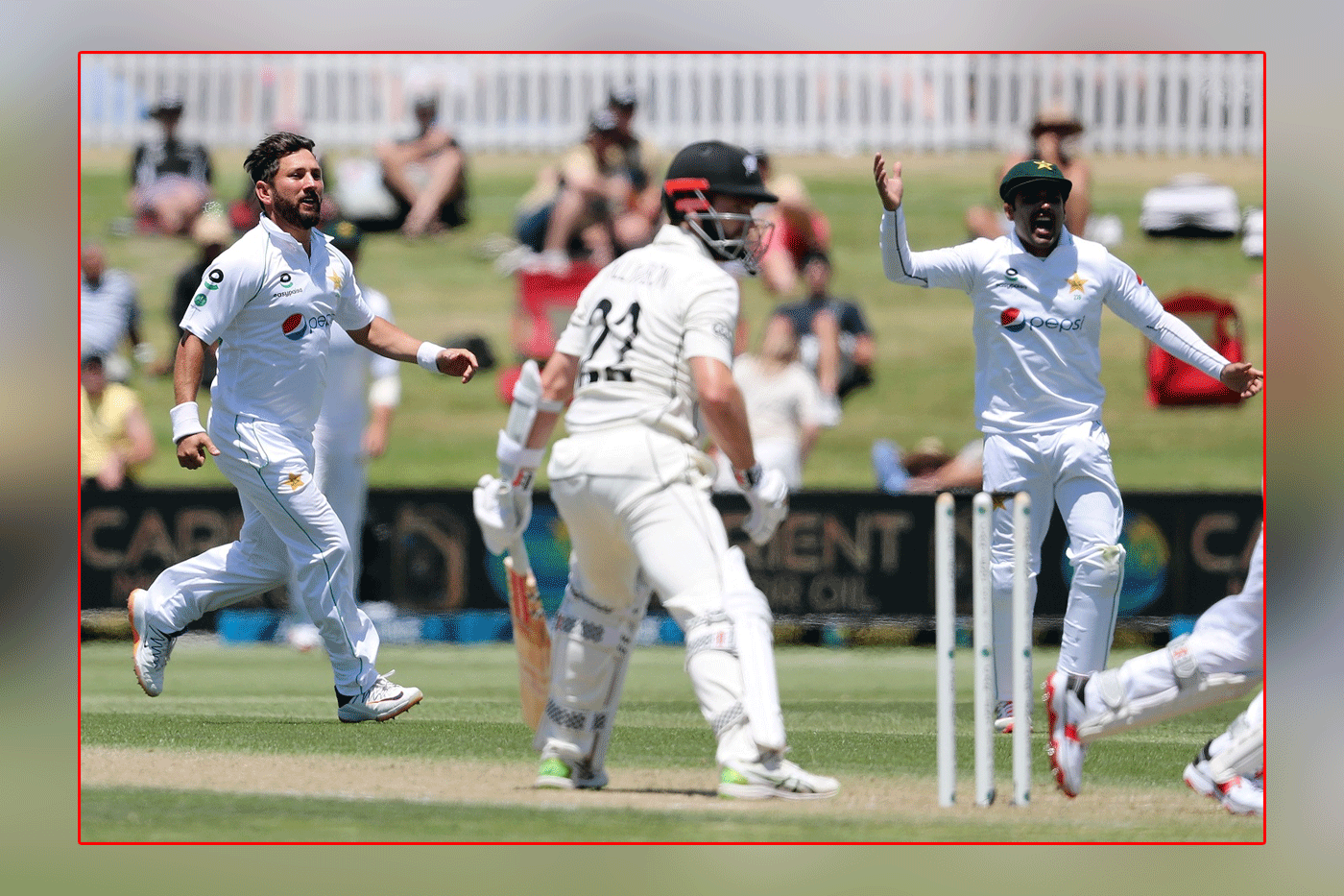 Mount Maunganui Test: Ken Williamson's stunning century, Kiwis bowled out for 431